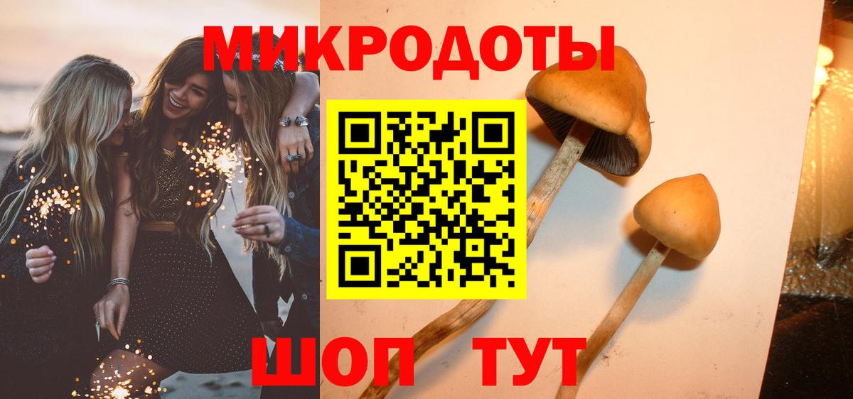 Галлюциногенные грибы прущие грибы Добрянка