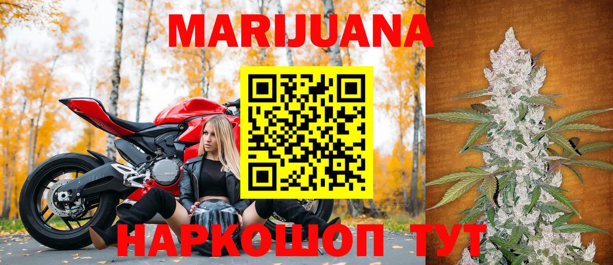 Канабис сатива Добрянка